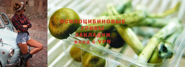 дурь Краснотурьинск