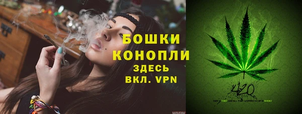 крисы Красноперекопск
