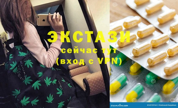 СК Краснослободск