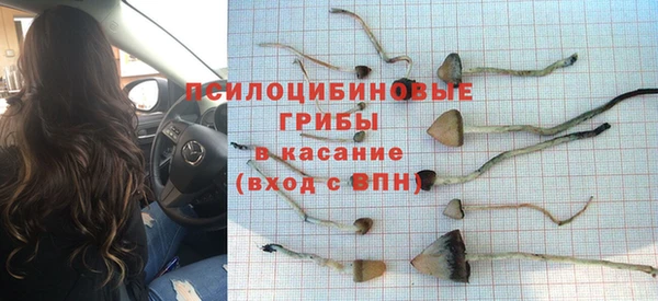 СК Краснослободск