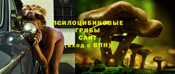 дурь Краснотурьинск