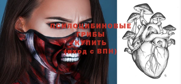 дурь Краснотурьинск