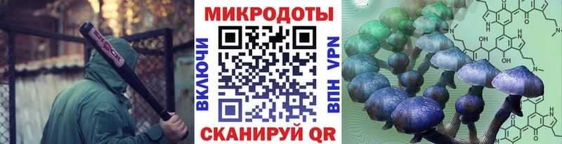 Купить  Николаевск  Псилоцибиновые грибы мицелий 